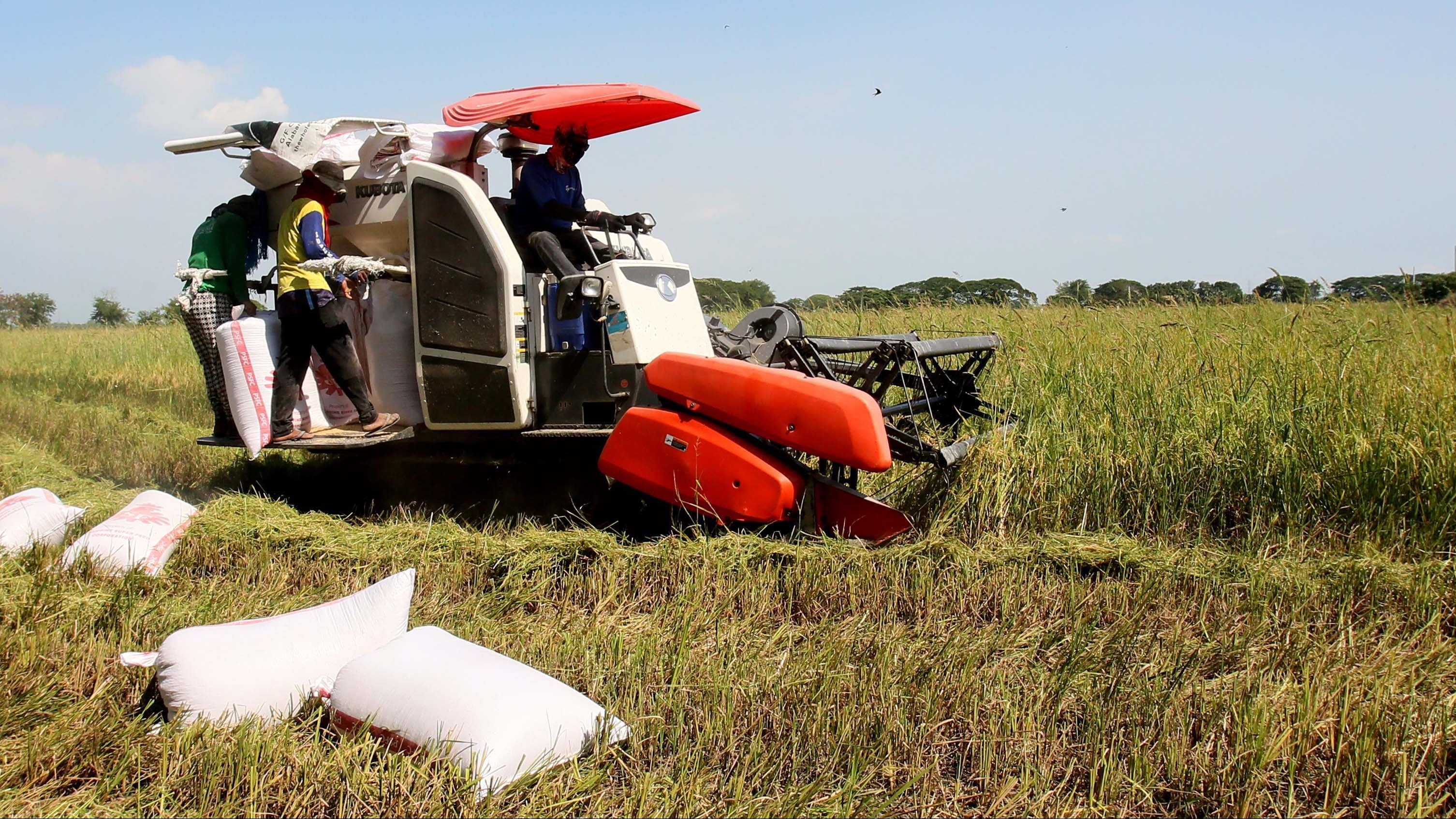 DA expands P20 rice program to benefit workers, farmers