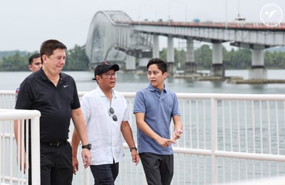 Logistics firm seeks more RoRo ports amid San Juanico Bridge woes