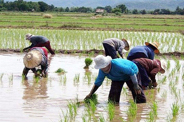 Pension program for farmers, fishermen sought
