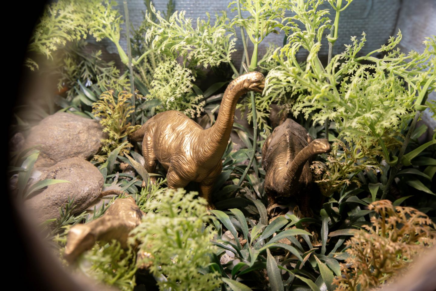 Family-friendly dino exhibit opens in Ilocos Norte