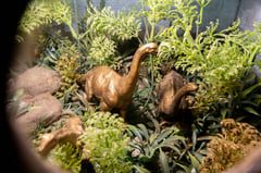 Family-friendly dino exhibit opens in Ilocos Norte