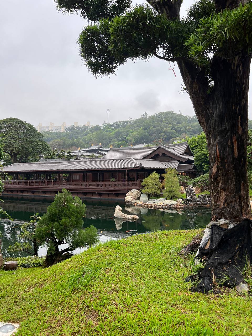 Oasis within an oasis The nearby Nan Lian Garden.