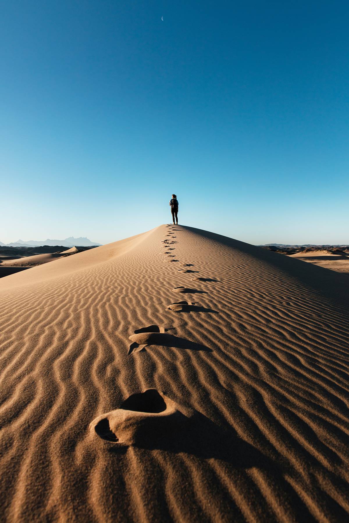 Sand dune, Nature Reserve, Saudi Arabia.