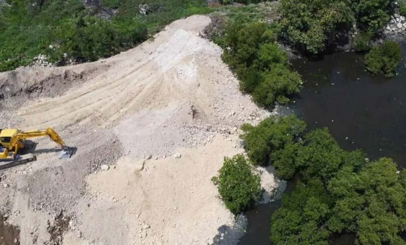 DPWH flood project buries Cebu City mangroves 