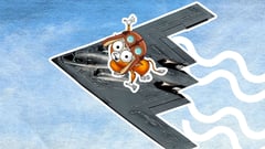 Deception strike, stealth bombing