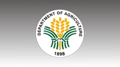 DA launches P27.7-B farm-to-market bridge project
