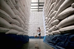 DA holds off rice price cut amid global oil shock