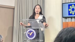 DoE: Suspending taxes on fuel up to Congress
