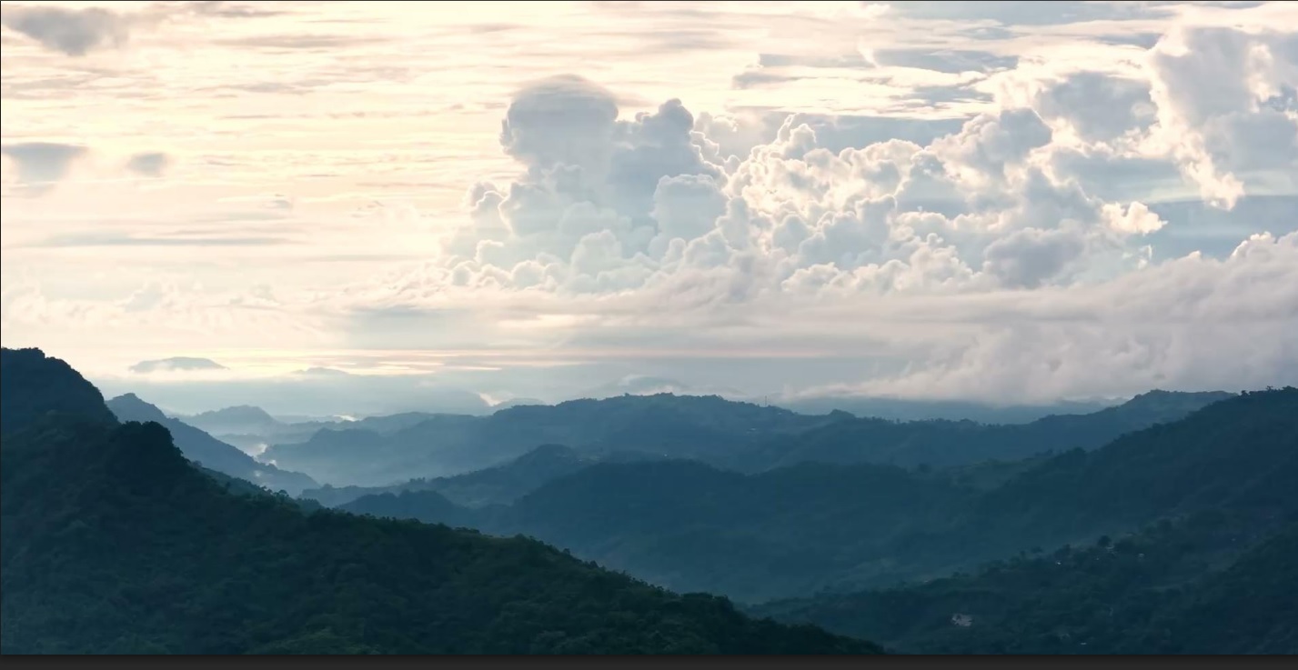 Million hectares of forest potential investment areas
