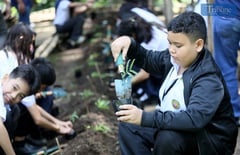 Future earth advocates: Students learn tree-planting on Arbor Day