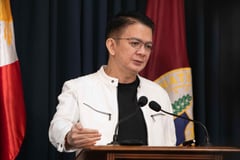 Witnesses: Luggage for Chiz, poll chief