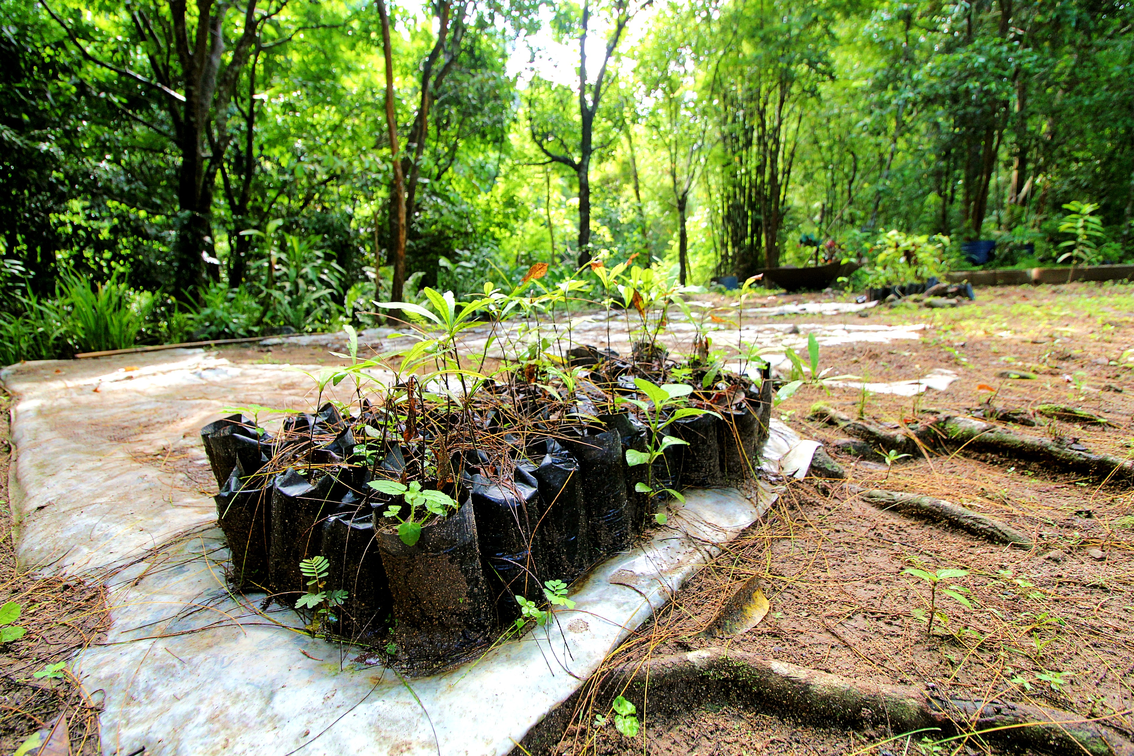 Climate Stakeholders forge partnership, launch Carbon recoveries awards

