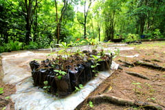 Climate Stakeholders forge partnership, launch Carbon recoveries awards