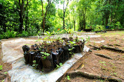 Climate Stakeholders forge partnership, launch Carbon recoveries awards