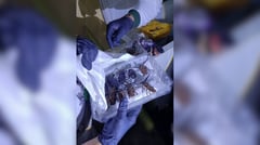 Reptiles, swamps await U.S. criminal aliens at ‘Alligator Alcatraz’