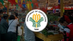 DA pushes for bigger 2026 budget, policy reforms to boost agri competitiveness