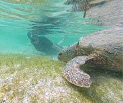 Shark Fin Bay MPA network earns Blue Park Award