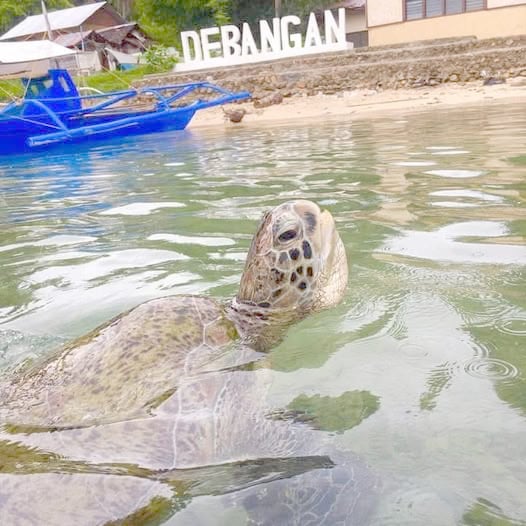 A new marine protected area is born