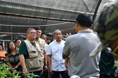 DA pushes science-driven farming to cut imports