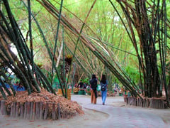 Iron bamboo eyed in Subic Freeport