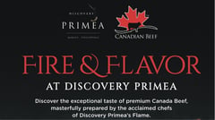 Discovery Primea
