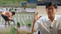 Incorporate technology to entice young farmers – PBBM