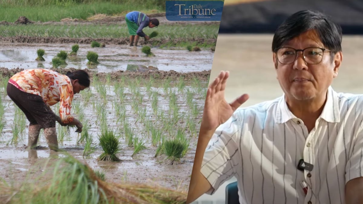 Marcos: Make agriculture cool again