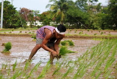 Six Central Luzon agri-champions win big at National Gawad Saka