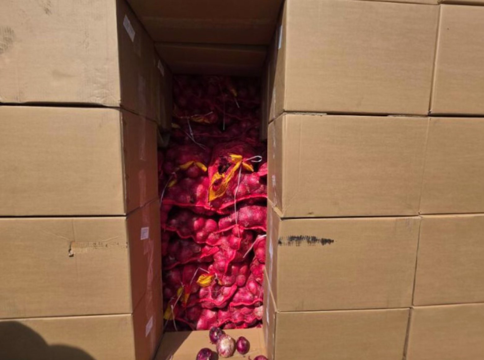 (Photo courtesy of FDA)