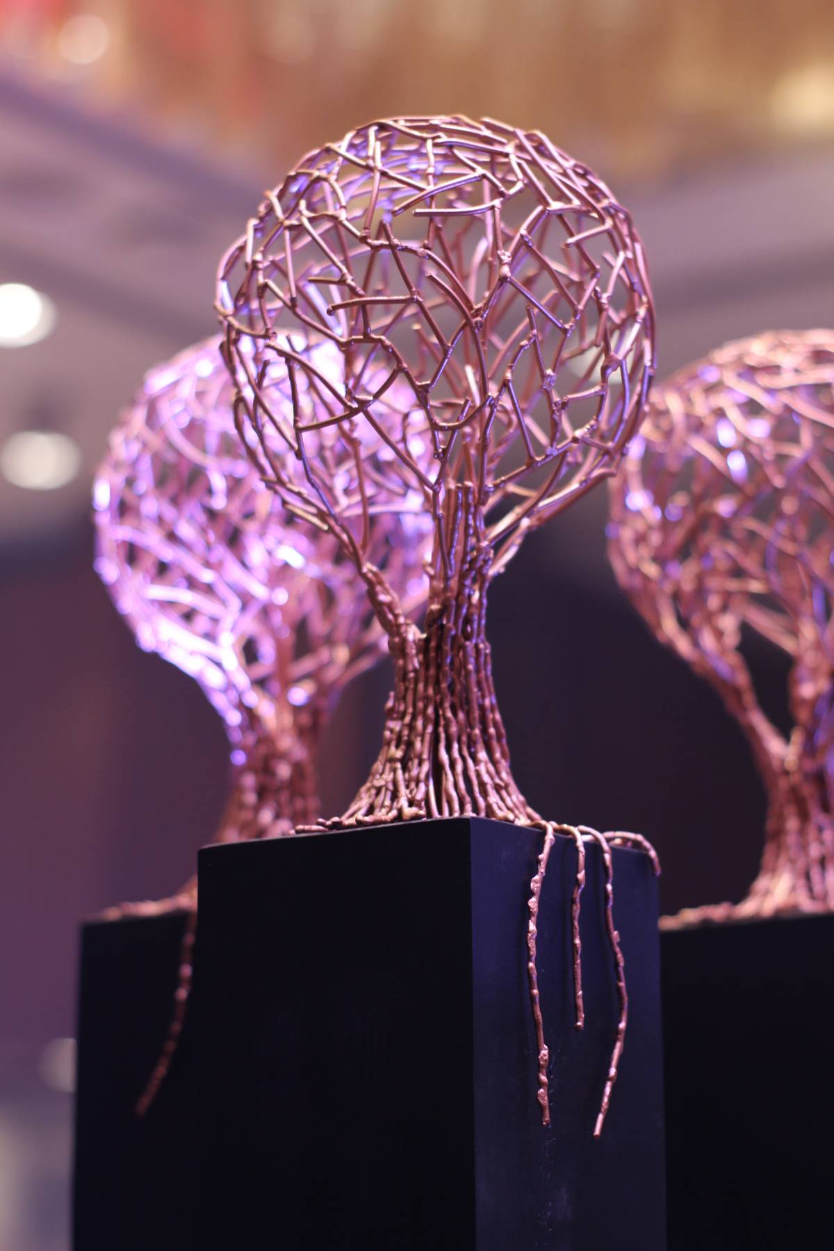 K-LIGTAS winners received a one-of-a-kind trophy called the Life Bulb by renowned Filipino artist Ferdinand Cacnio. The sculpture is made entirely of upcycled materials such as copper wires and wooden poles.