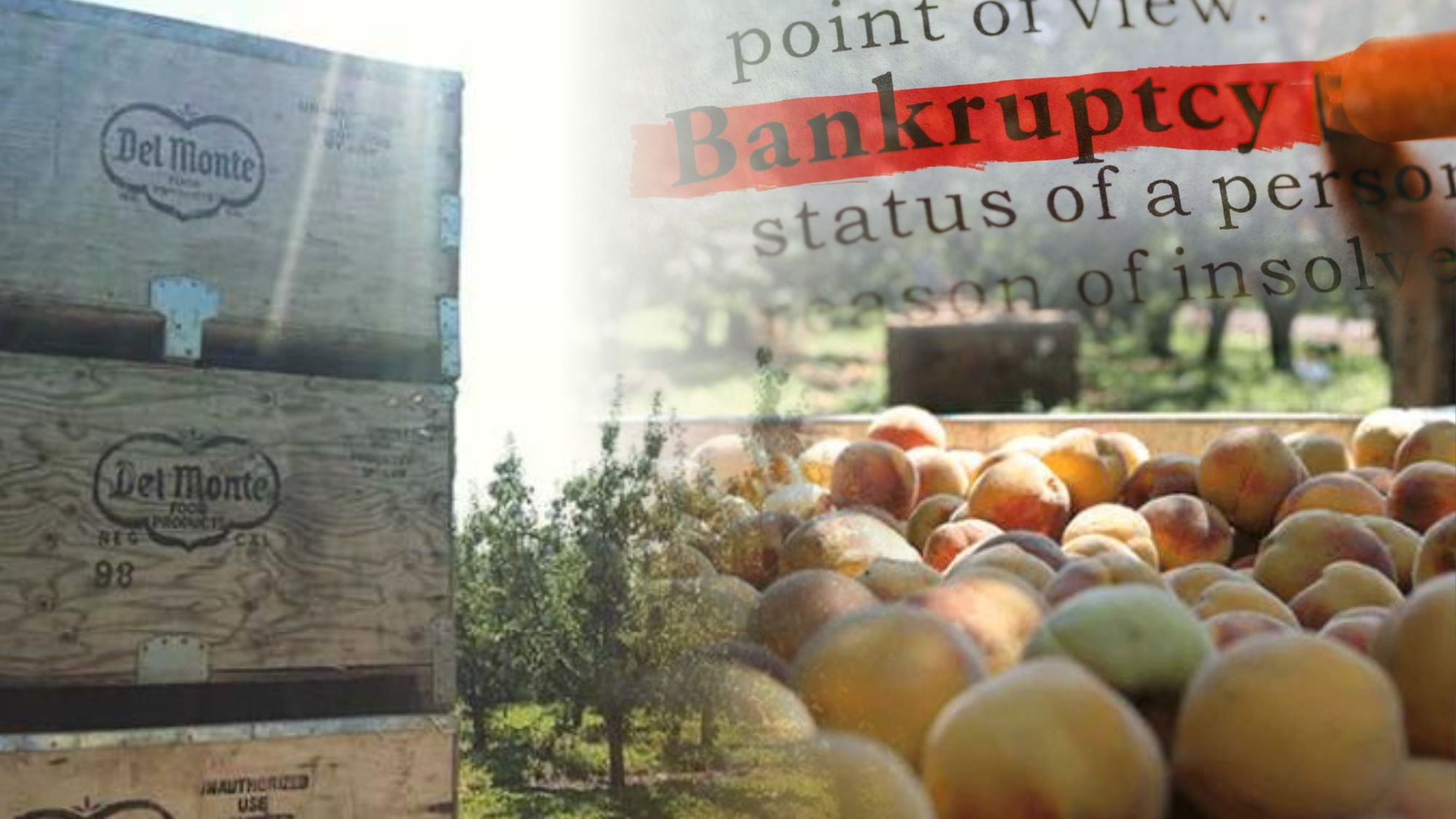 Del Monte’s US unit files for bankruptcy
