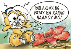 Pharma poop