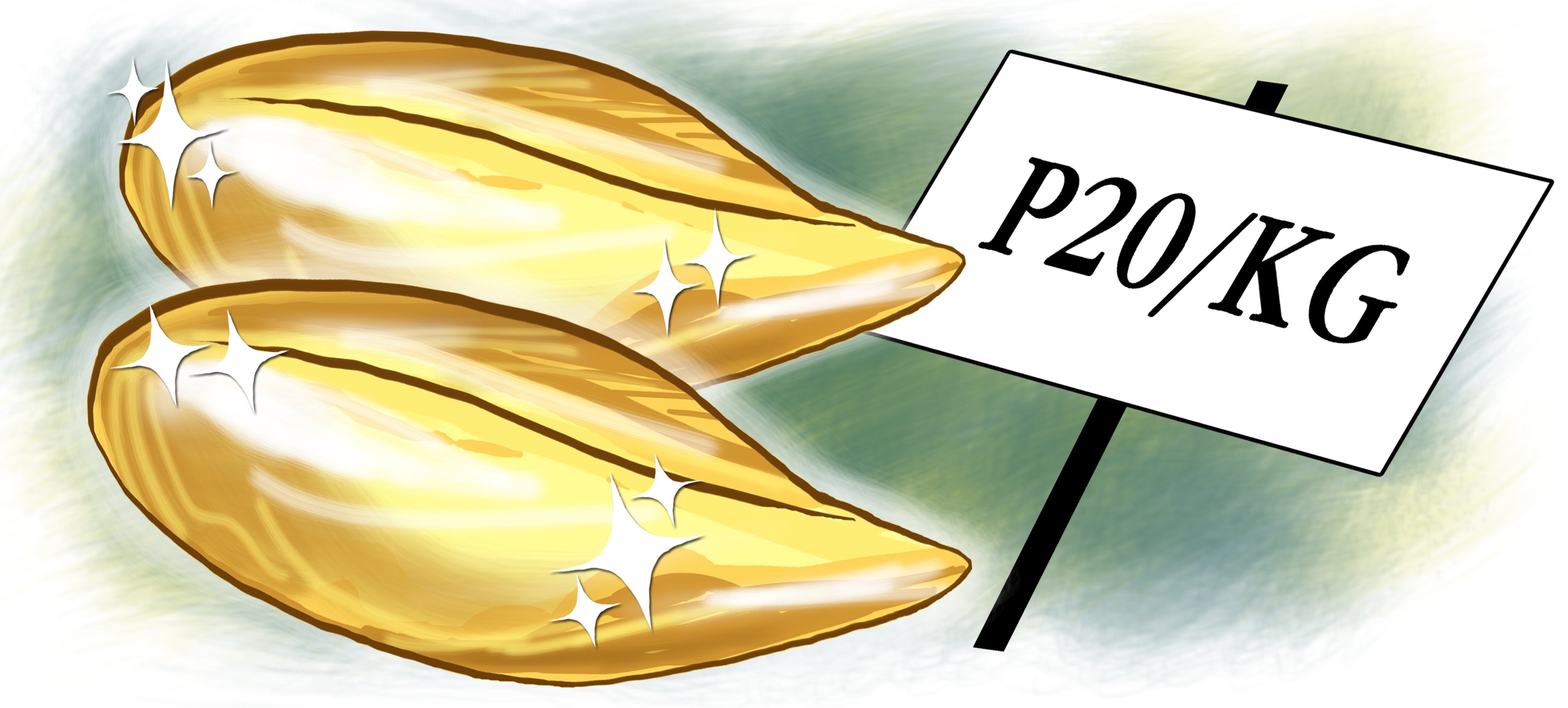Expensive P20 rice