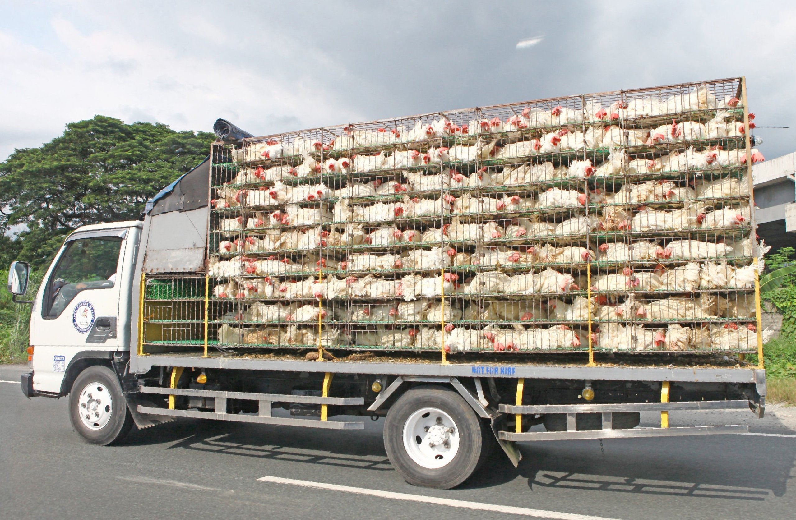 DA lifts U.S. poultry import ban