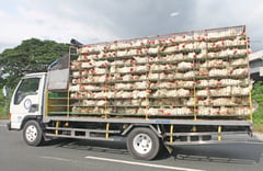 DA lifts Japan poultry import ban