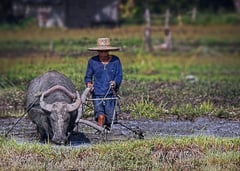 Report exploitative middlemen, Palace urges farmers
