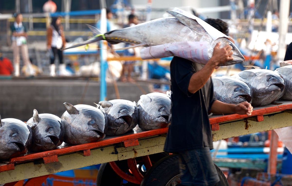 DA orders deeper GenSan fishport check
