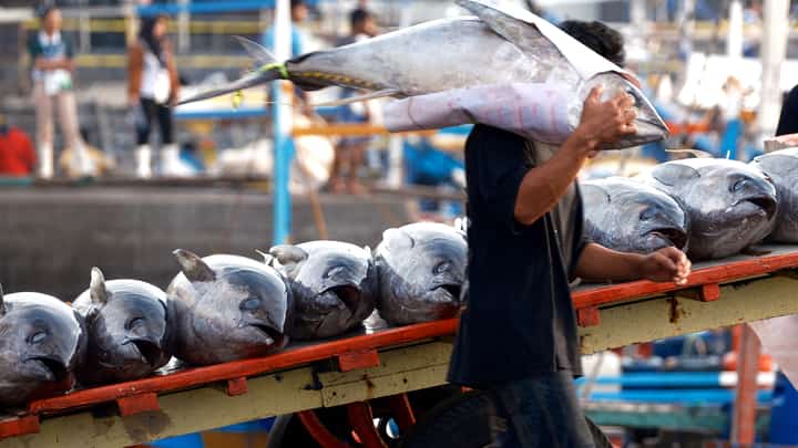 DA orders deeper GenSan fishport check