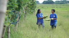 SM Foundation’s KSK empowers farmers to earn and dream bigger