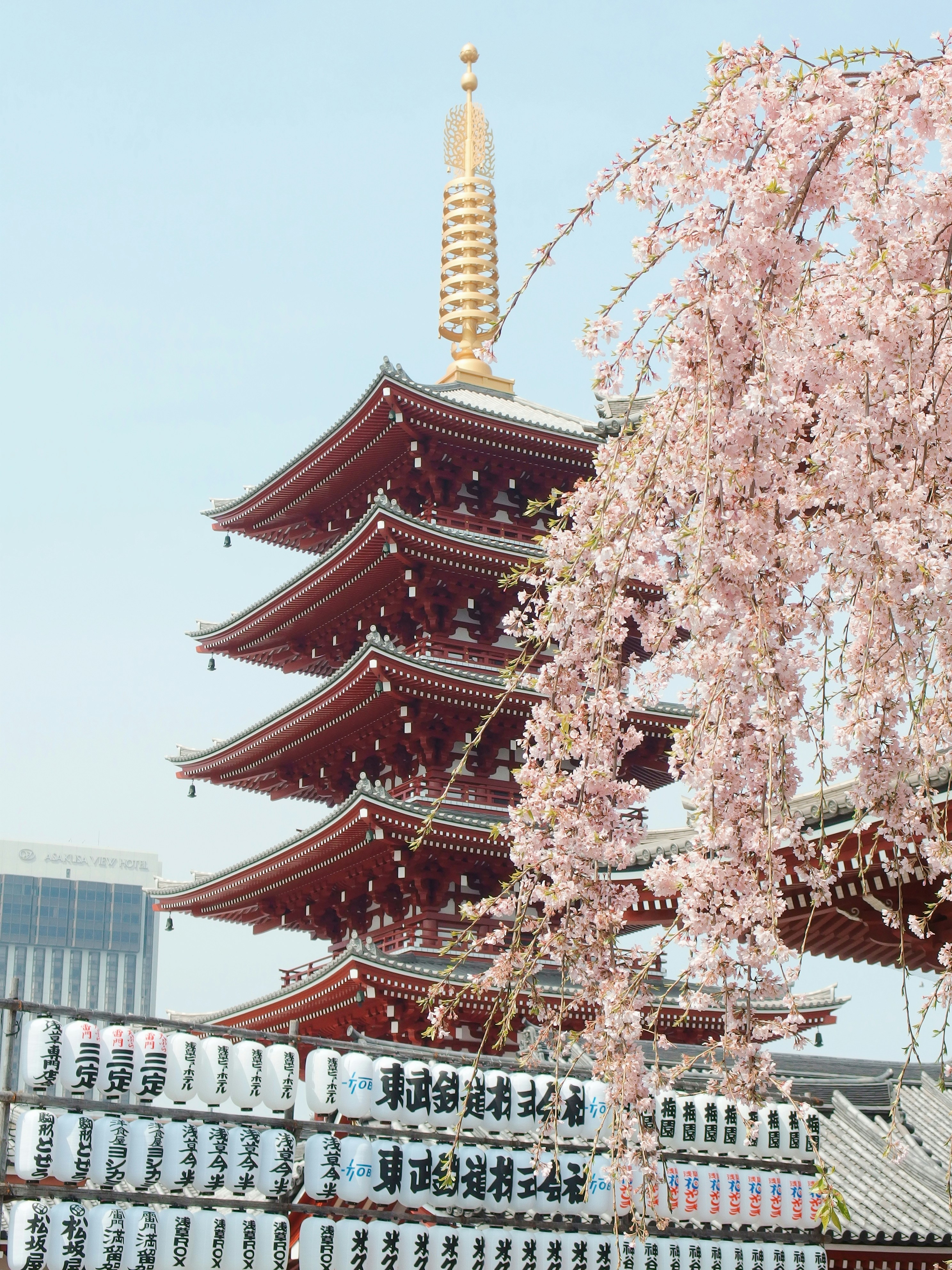 PHOTOGRAPHS COURTESY OF UNSPLASH/YU KATO