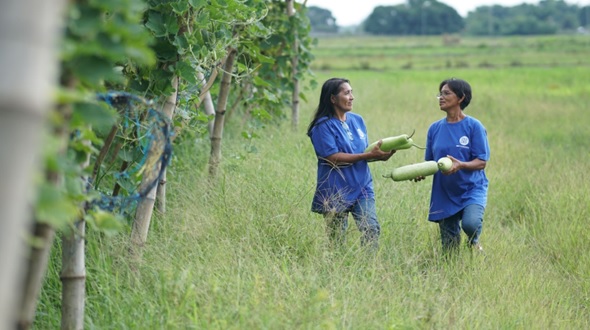 Women farmers thrive under SM Foundation’s KSK