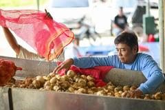 JGF fosters prosperity for onion growers