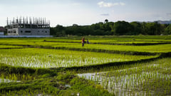DA sees agri rebound