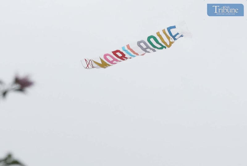 Kite