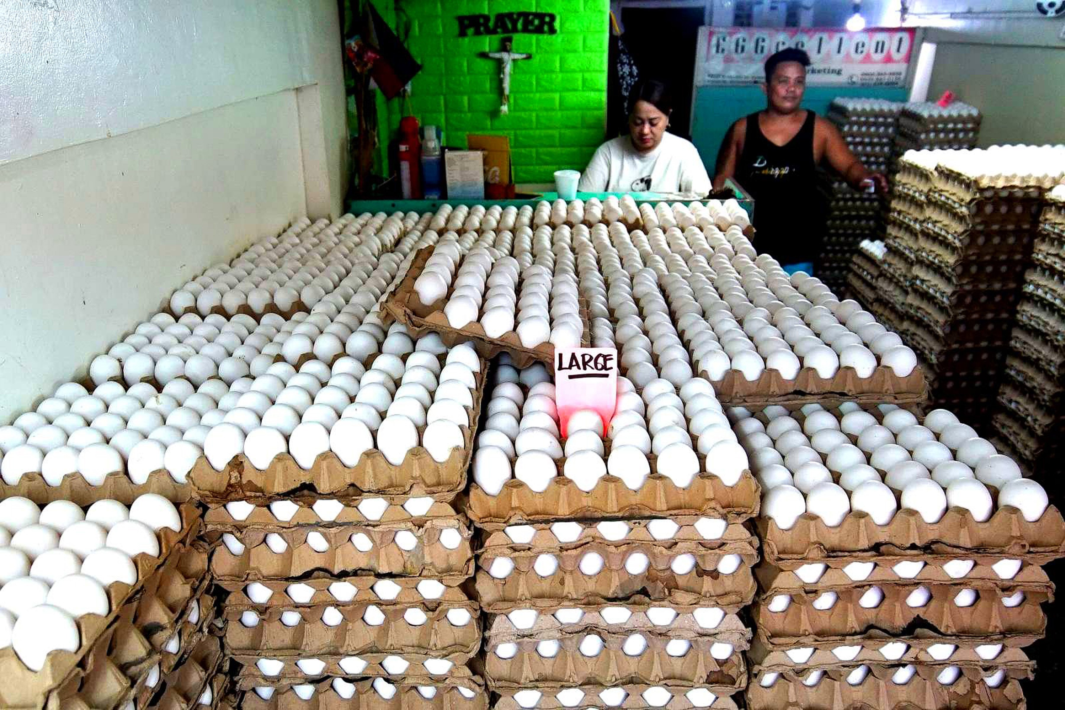 Phase out battery cage eggs, giant markets urged