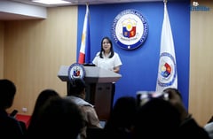 Ruth Castelo named new OVP spokesperson