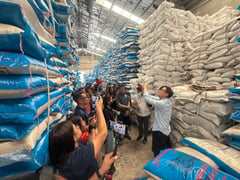 Anti-economic sabotage council seizes P38M smuggled rice in Cebu