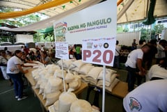 DA says P20 rice program supply sufficient