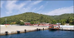 P100-M port overhaul pushed to unclog island supply chain