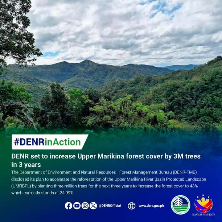 DENR intensifies Marikina reforestation